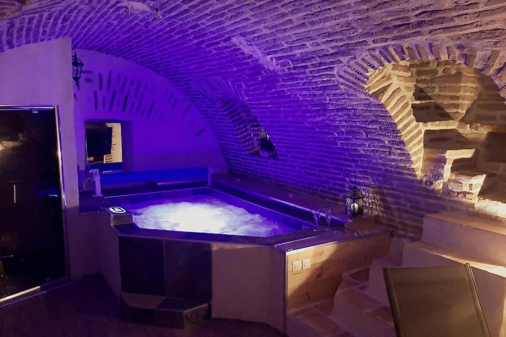 Studio Et Spa Privatif Le Puits De La Grace Albi Exterior foto