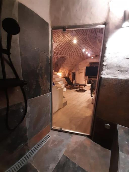 Studio Et Spa Privatif Le Puits De La Grace Albi Exterior foto