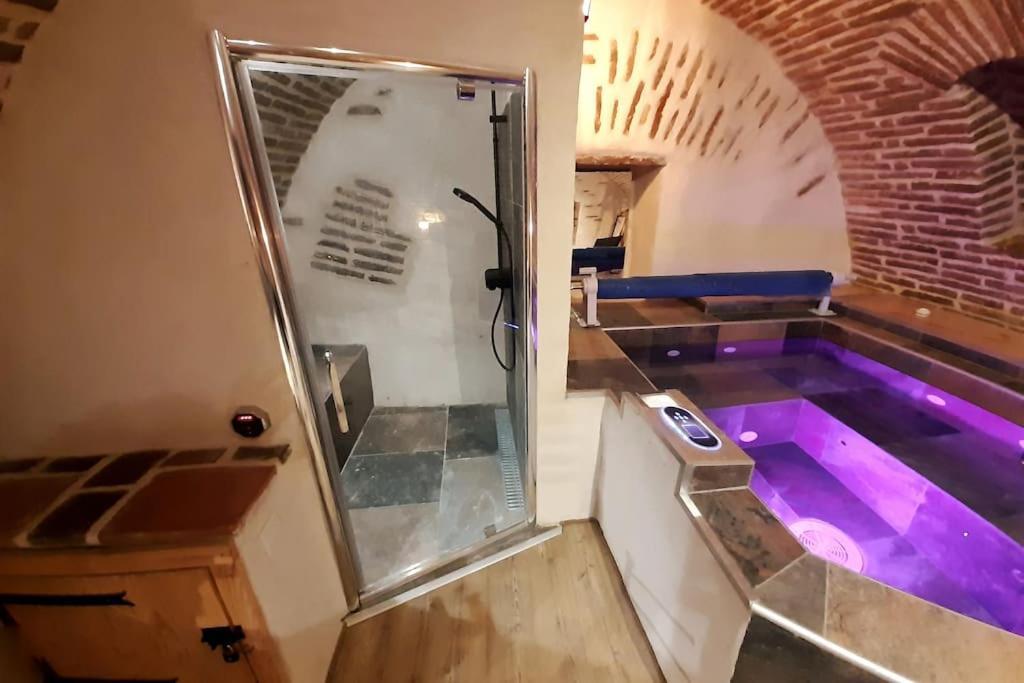 Studio Et Spa Privatif Le Puits De La Grace Albi Exterior foto